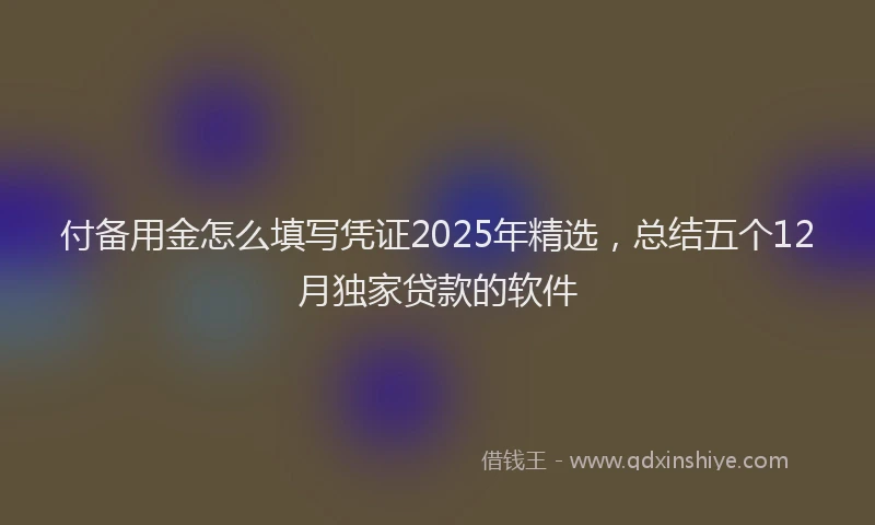 付备用金怎么填写凭证2025年精选，总结五个12月独家贷款的软件