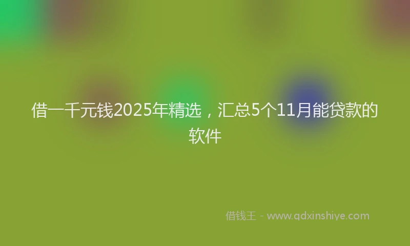 借一千元钱2025年精选，汇总5个11月能贷款的软件