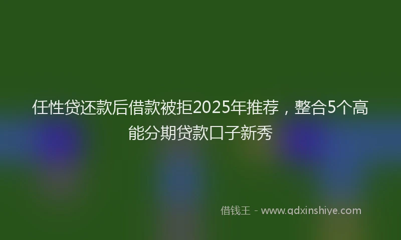 任性贷还款后借款被拒2025年推荐，整合5个高能分期贷款口子新秀