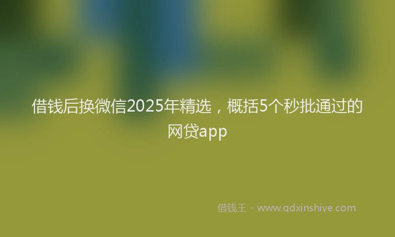 借钱后换微信2025年精选，概括5个秒批通过的网贷app