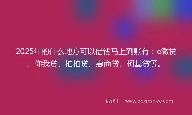 2025年的什么地方可以借钱马上到账有：e微贷、你我贷、拍拍贷、惠商贷、柯基贷等。