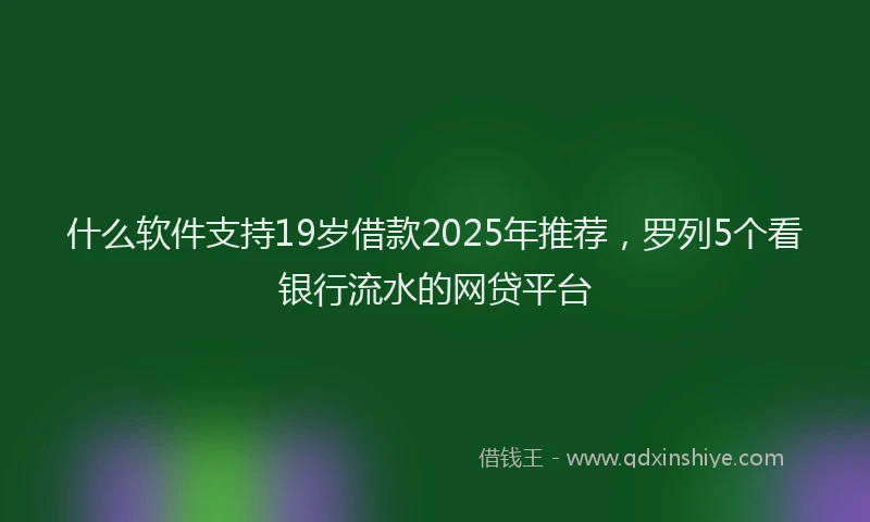 什么软件支持19岁借款2025年推荐，罗列5个看银行流水的网贷平台