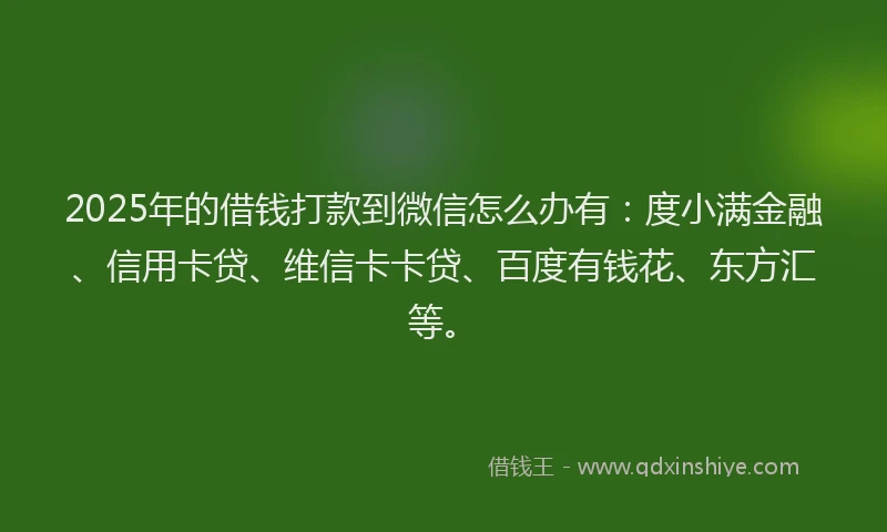 2025年的借钱打款到微信怎么办有：度小满金融、信用卡贷、维信卡卡贷、百度有钱花、东方汇等。