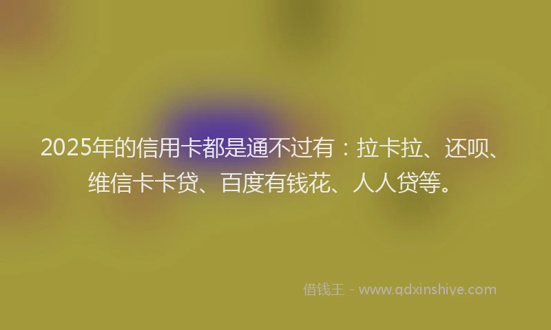 2025年的信用卡都是通不过有：拉卡拉、还呗、维信卡卡贷、百度有钱花、人人贷等。