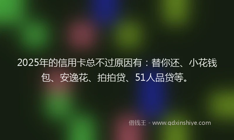 2025年的信用卡总不过原因有：替你还、小花钱包、安逸花、拍拍贷、51人品贷等。