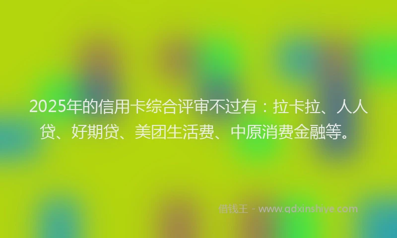 2025年的信用卡综合评审不过有：拉卡拉、人人贷、好期贷、美团生活费、中原消费金融等。
