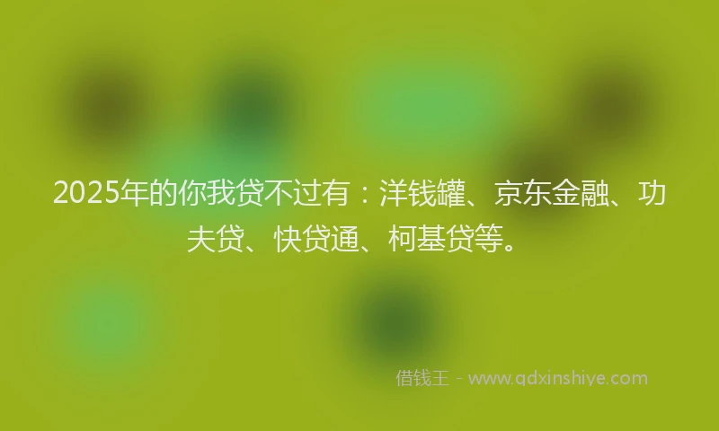 2025年的你我贷不过有：洋钱罐、京东金融、功夫贷、快贷通、柯基贷等。