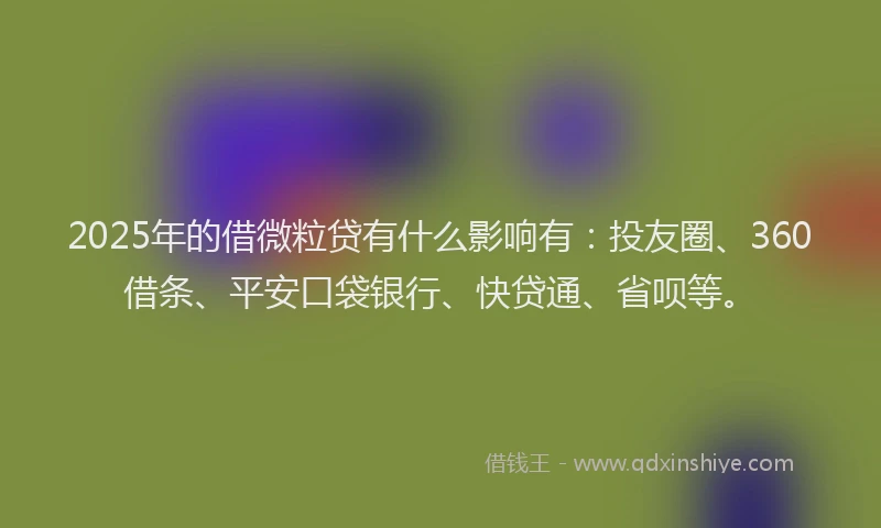 2025年的借微粒贷有什么影响有：投友圈、360借条、平安口袋银行、快贷通、省呗等。