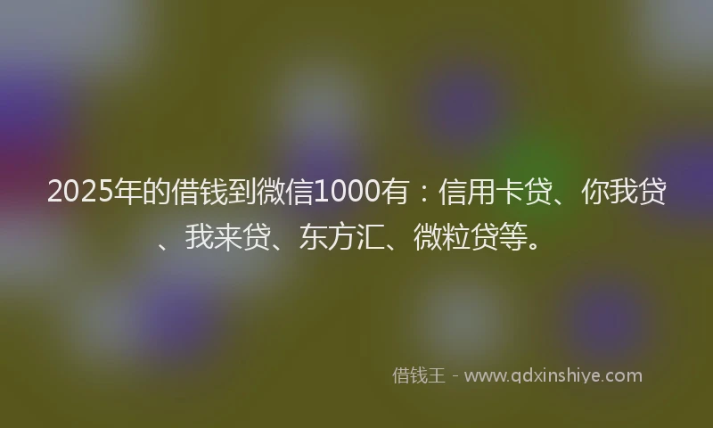 2025年的借钱到微信1000有：信用卡贷、你我贷、我来贷、东方汇、微粒贷等。