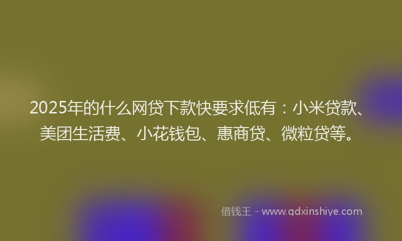 2025年的什么网贷下款快要求低有：小米贷款、美团生活费、小花钱包、惠商贷、微粒贷等。