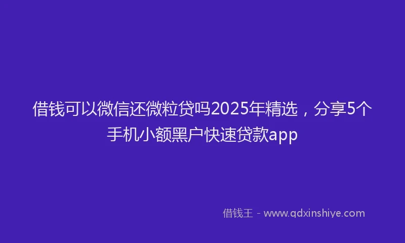借钱可以微信还微粒贷吗2025年精选，分享5个手机小额黑户快速贷款app
