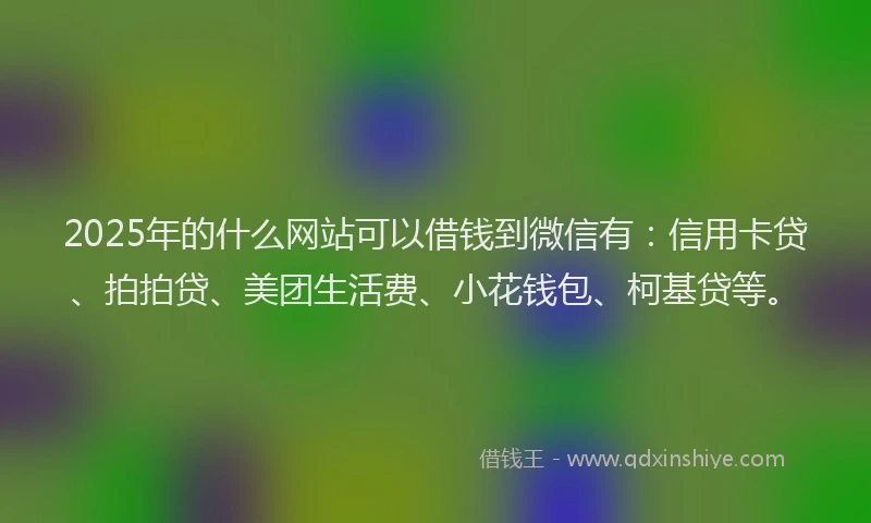 2025年的什么网站可以借钱到微信有：信用卡贷、拍拍贷、美团生活费、小花钱包、柯基贷等。