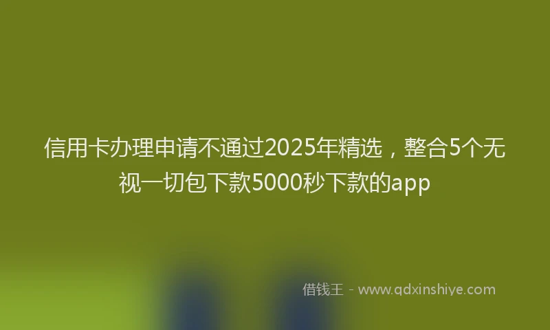 信用卡办理申请不通过2025年精选，整合5个无视一切包下款5000秒下款的app