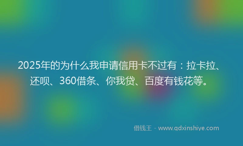 2025年的为什么我申请信用卡不过有：拉卡拉、还呗、360借条、你我贷、百度有钱花等。