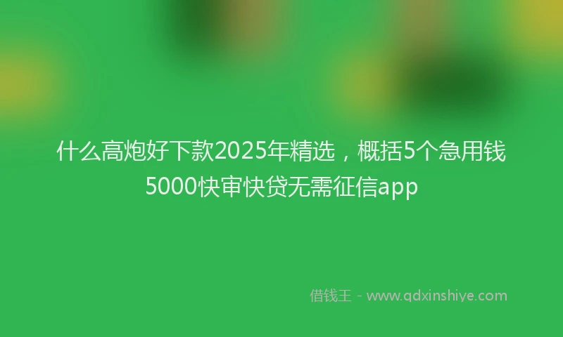 什么高炮好下款2025年精选，概括5个急用钱5000快审快贷无需征信app