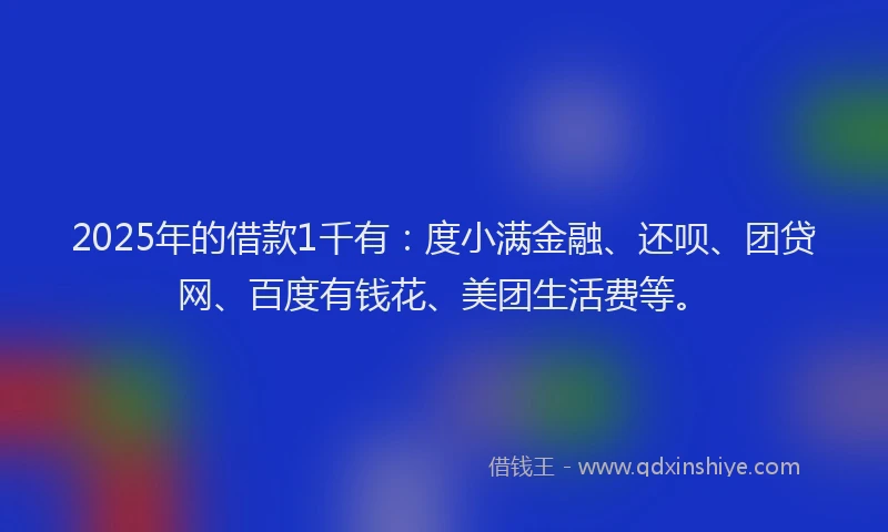 2025年的借款1千有：度小满金融、还呗、团贷网、百度有钱花、美团生活费等。