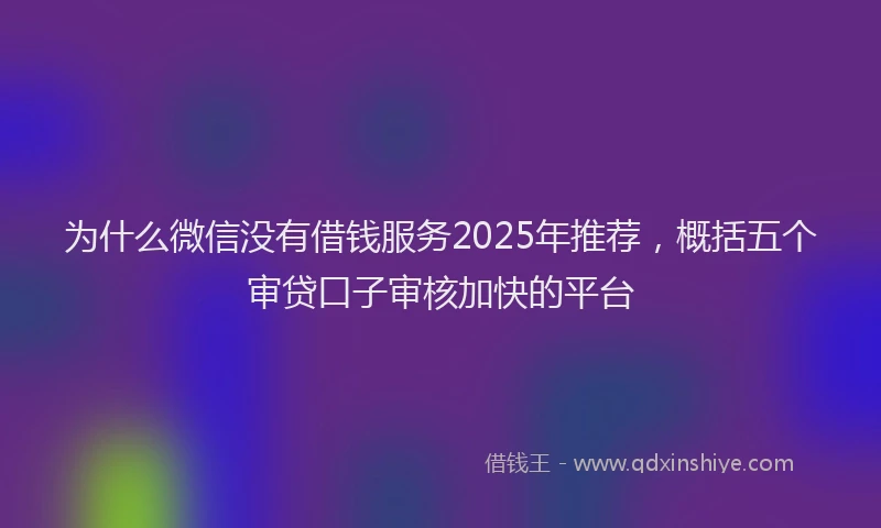 为什么微信没有借钱服务2025年推荐，概括五个审贷口子审核加快的平台