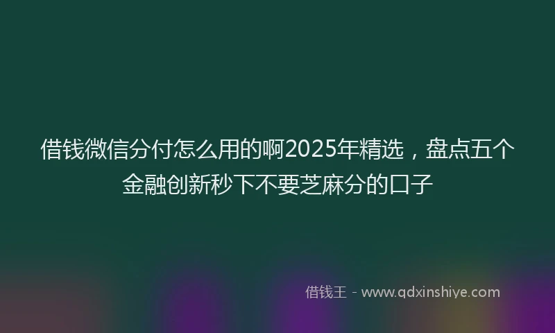 借钱微信分付怎么用的啊2025年精选，盘点五个金融创新秒下不要芝麻分的口子
