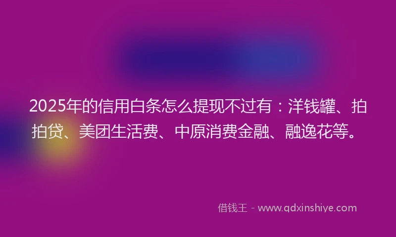 2025年的信用白条怎么提现不过有：洋钱罐、拍拍贷、美团生活费、中原消费金融、融逸花等。