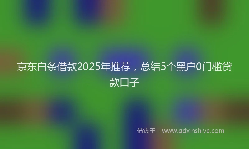京东白条借款2025年推荐，总结5个黑户0门槛贷款口子