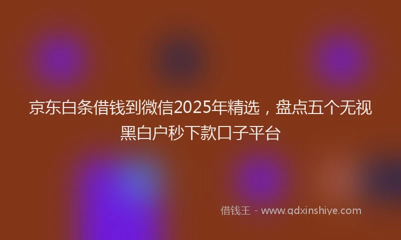 京东白条借钱到微信2025年精选，盘点五个无视黑白户秒下款口子平台