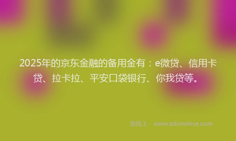 2025年的京东金融的备用金有：e微贷、信用卡贷、拉卡拉、平安口袋银行、你我贷等。