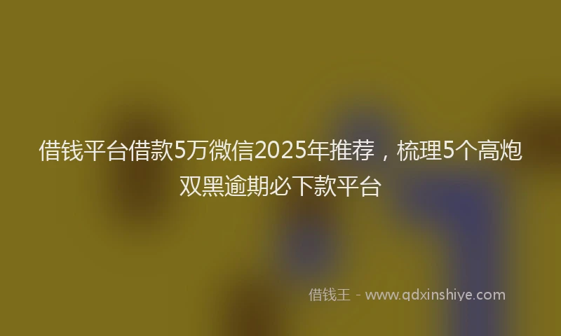 借钱平台借款5万微信2025年推荐，梳理5个高炮双黑逾期必下款平台