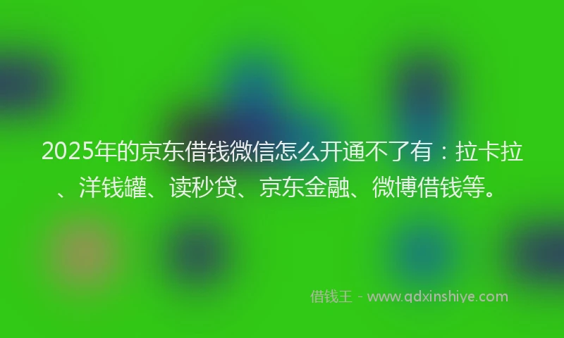 2025年的京东借钱微信怎么开通不了有：拉卡拉、洋钱罐、读秒贷、京东金融、微博借钱等。
