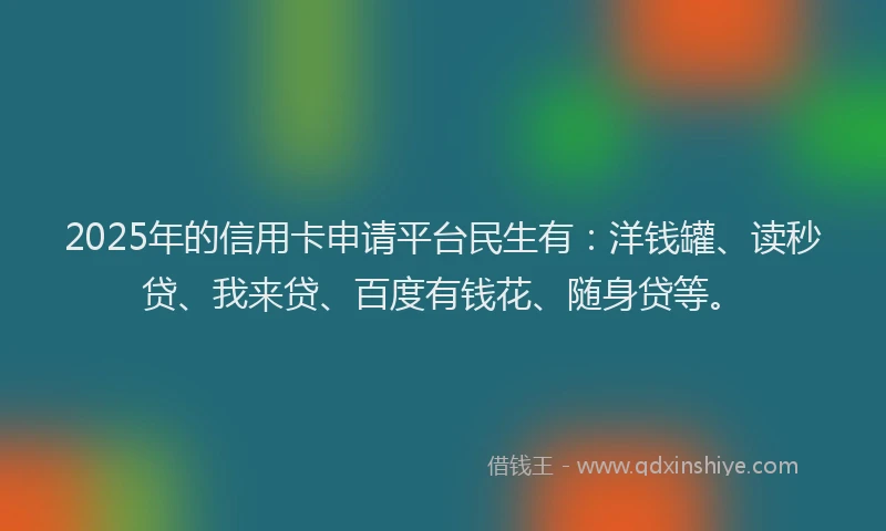 2025年的信用卡申请平台民生有：洋钱罐、读秒贷、我来贷、百度有钱花、随身贷等。