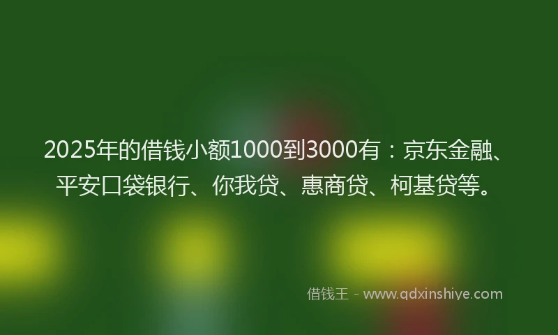 2025年的借钱小额1000到3000有：京东金融、平安口袋银行、你我贷、惠商贷、柯基贷等。