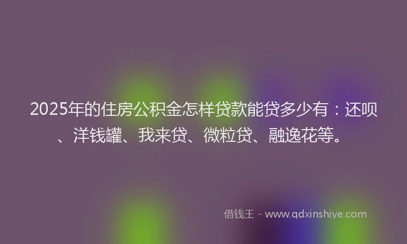 2025年的住房公积金怎样贷款能贷多少有：还呗、洋钱罐、我来贷、微粒贷、融逸花等。