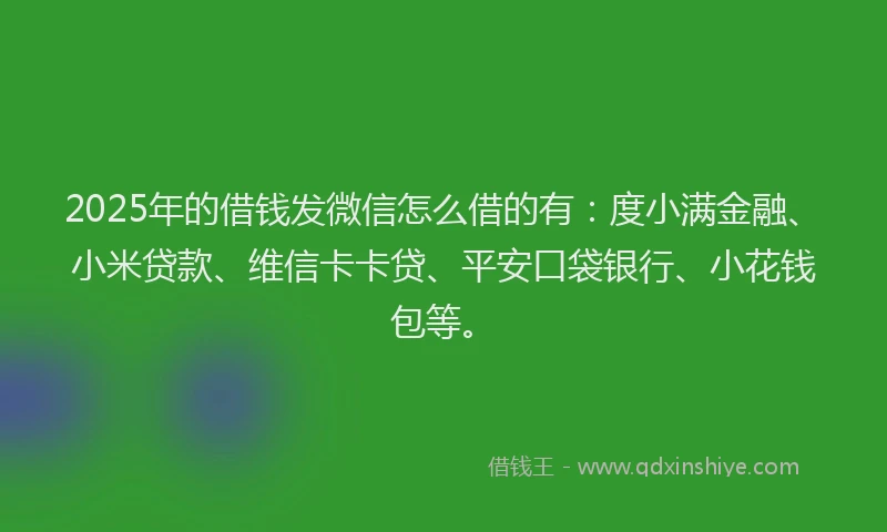 2025年的借钱发微信怎么借的有：度小满金融、小米贷款、维信卡卡贷、平安口袋银行、小花钱包等。