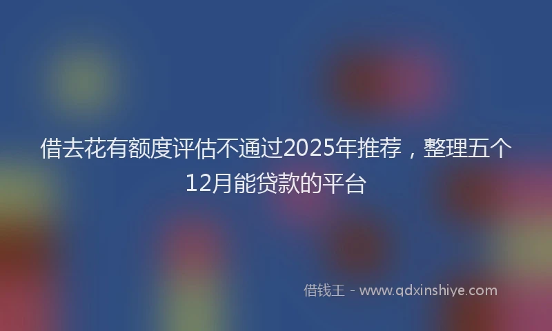 借去花有额度评估不通过2025年推荐，整理五个12月能贷款的平台