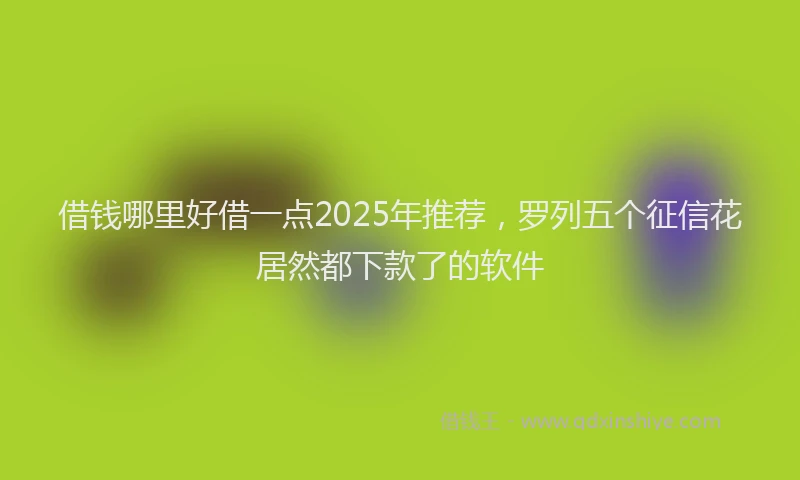 借钱哪里好借一点2025年推荐，罗列五个征信花居然都下款了的软件