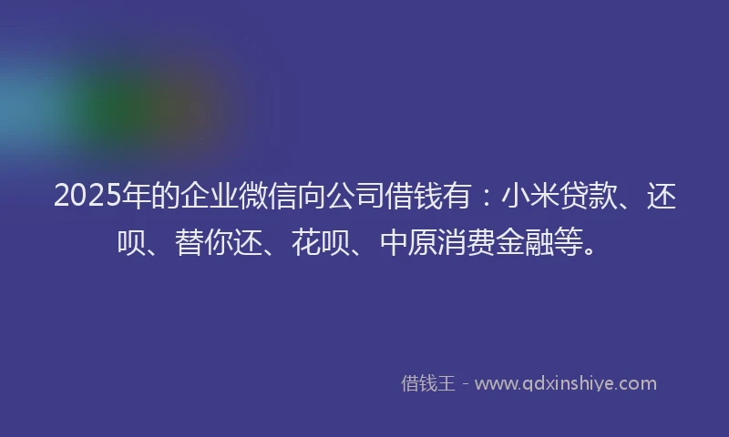 2025年的企业微信向公司借钱有：小米贷款、还呗、替你还、花呗、中原消费金融等。