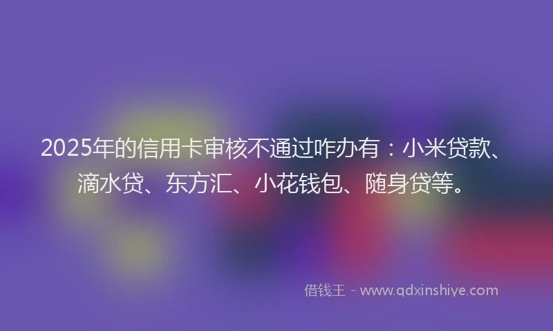 2025年的信用卡审核不通过咋办有：小米贷款、滴水贷、东方汇、小花钱包、随身贷等。