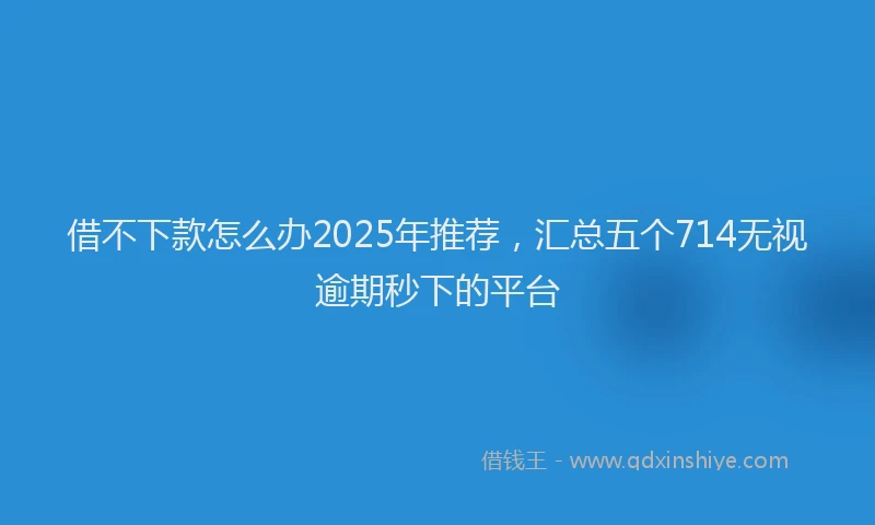 借不下款怎么办2025年推荐，汇总五个714无视逾期秒下的平台