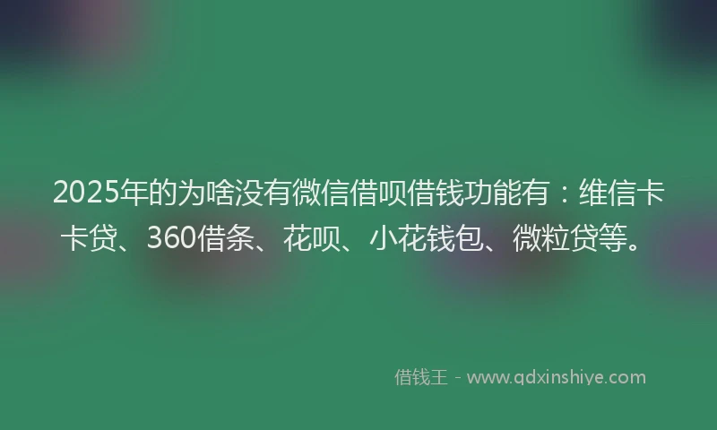 2025年的为啥没有微信借呗借钱功能有：维信卡卡贷、360借条、花呗、小花钱包、微粒贷等。