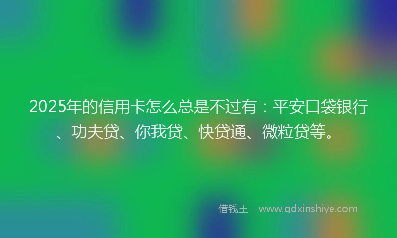 2025年的信用卡怎么总是不过有：平安口袋银行、功夫贷、你我贷、快贷通、微粒贷等。