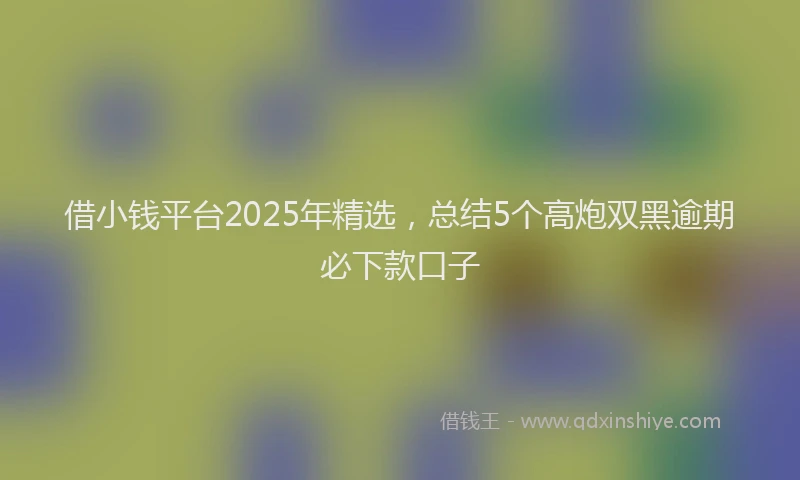 借小钱平台2025年精选，总结5个高炮双黑逾期必下款口子