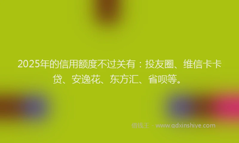 2025年的信用额度不过关有：投友圈、维信卡卡贷、安逸花、东方汇、省呗等。