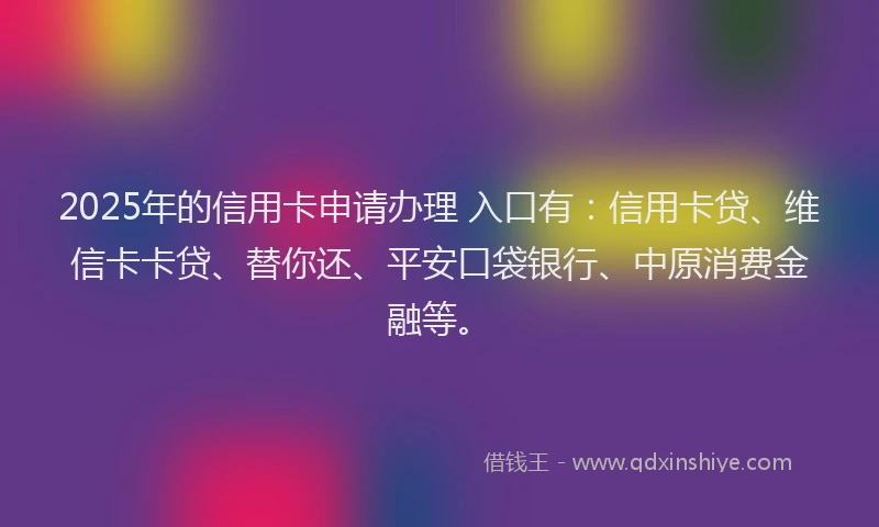 2025年的信用卡申请办理 入口有：信用卡贷、维信卡卡贷、替你还、平安口袋银行、中原消费金融等。