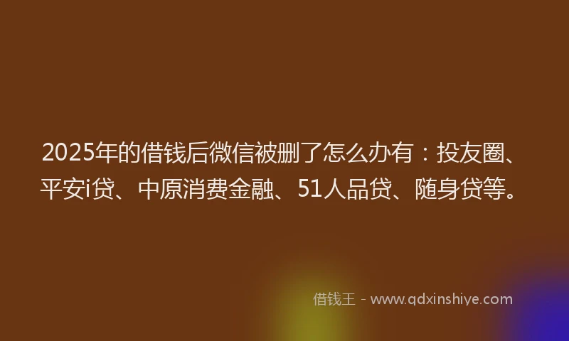 2025年的借钱后微信被删了怎么办有：投友圈、平安i贷、中原消费金融、51人品贷、随身贷等。