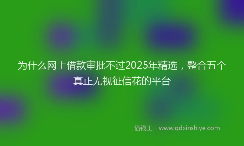 为什么网上借款审批不过2025年精选，整合五个真正无视征信花的平台