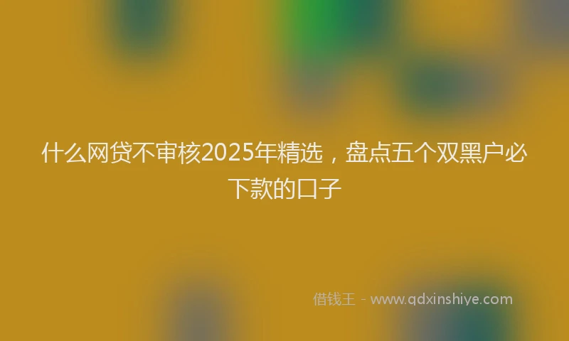 什么网贷不审核2025年精选，盘点五个双黑户必下款的口子