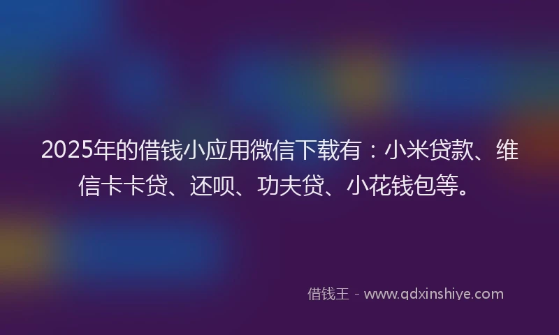 2025年的借钱小应用微信下载有：小米贷款、维信卡卡贷、还呗、功夫贷、小花钱包等。