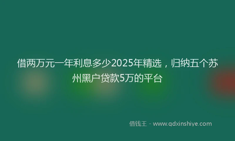 借两万元一年利息多少2025年精选，归纳五个苏州黑户贷款5万的平台