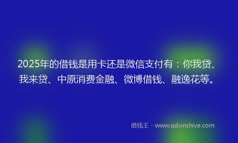 2025年的借钱是用卡还是微信支付有：你我贷、我来贷、中原消费金融、微博借钱、融逸花等。