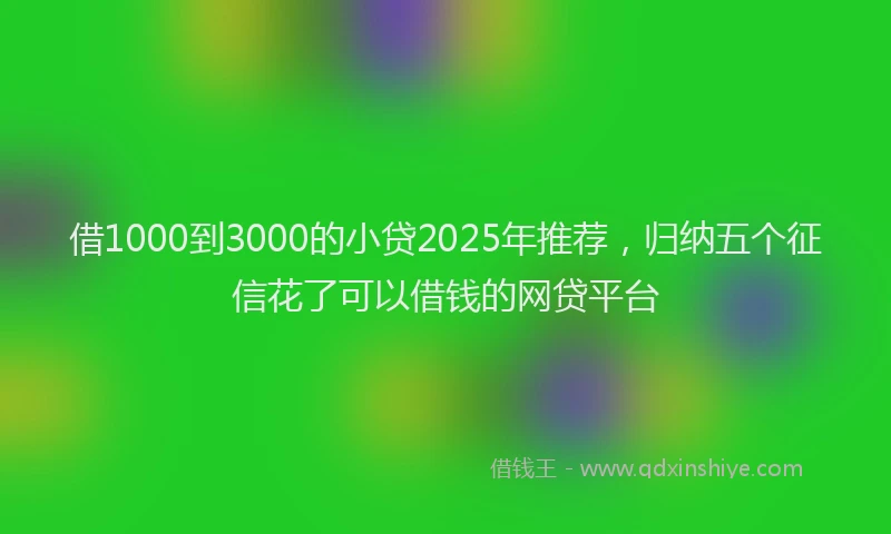 借1000到3000的小贷2025年推荐，归纳五个征信花了可以借钱的网贷平台