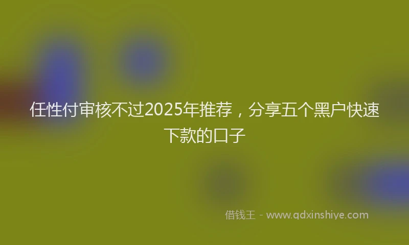 任性付审核不过2025年推荐，分享五个黑户快速下款的口子